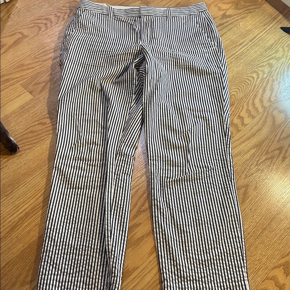 J. Crew Navy and White Striped Trousers
